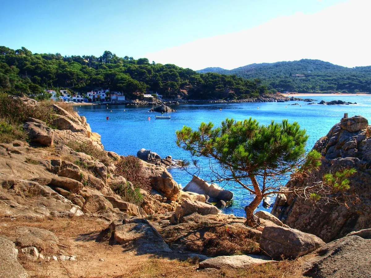Appartement Apartamento En La Playa De La Fosca San Juan de Palamos